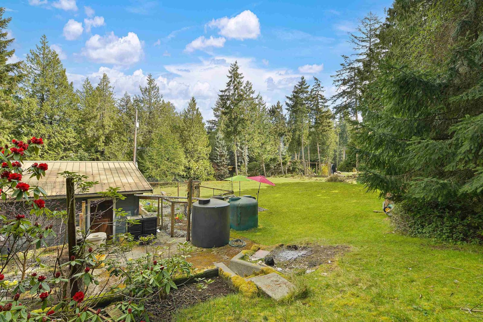 Listing Image 6
