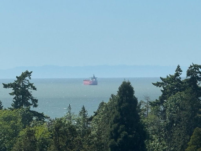 1201 - 2077 Nelson Street