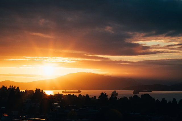 1201 - 2077 Nelson Street