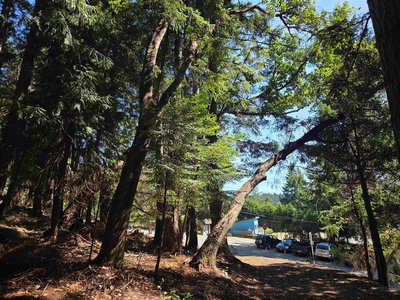 488 Letour Road | Mayne Island | Image