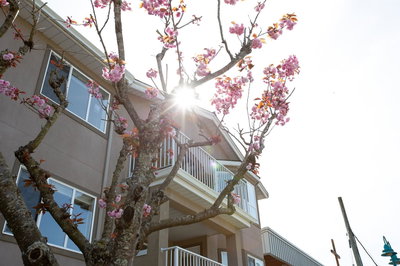 307 - 5711 Mermaid Street | Sechelt | Image