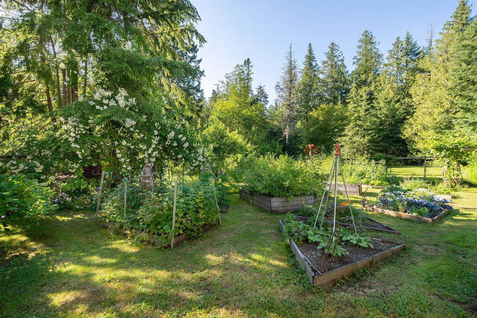 Listing Image 32