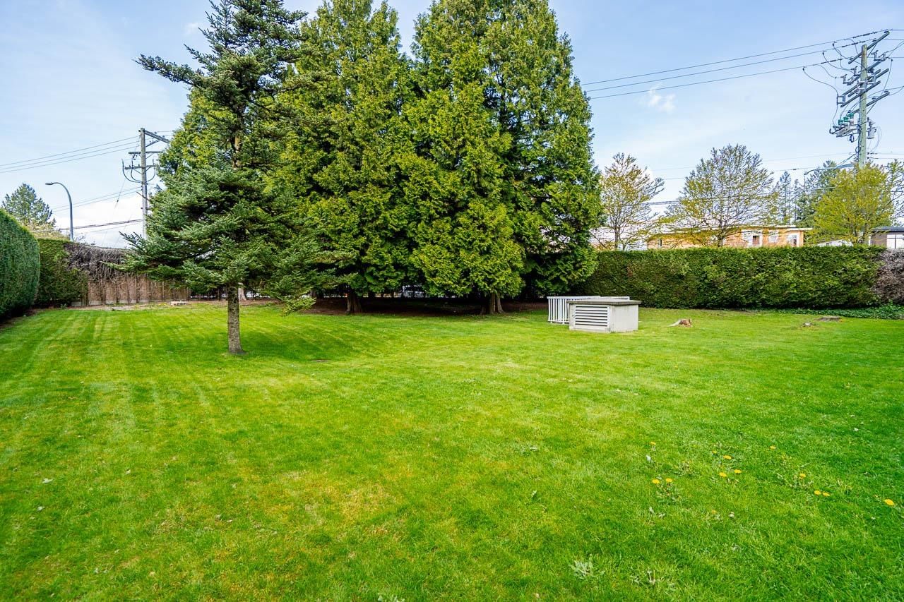 Listing Image 34