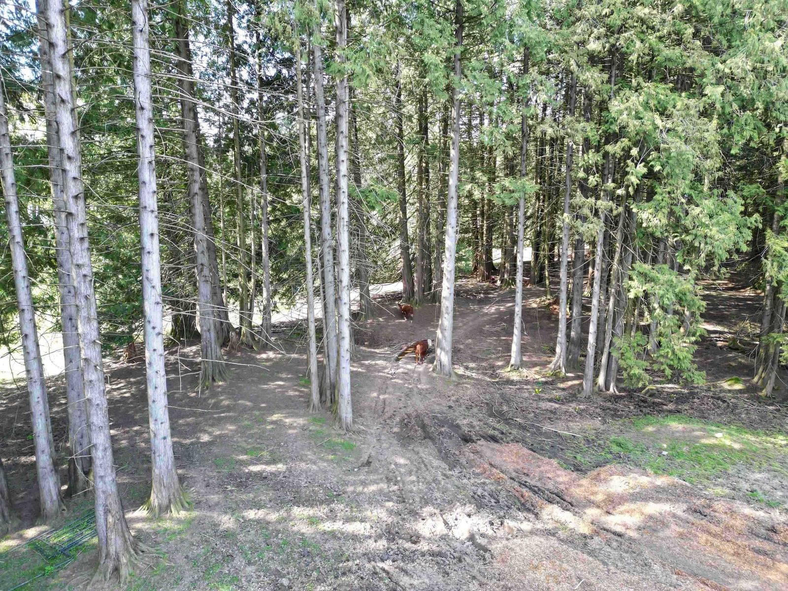 Listing Image 14