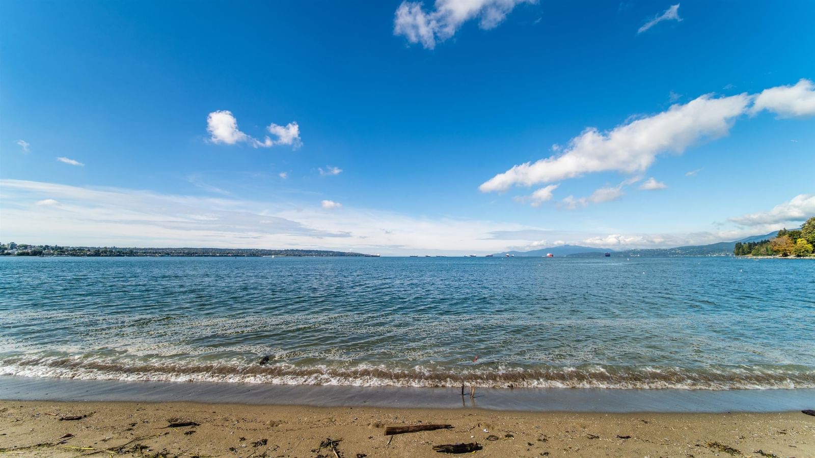Listing Image 29