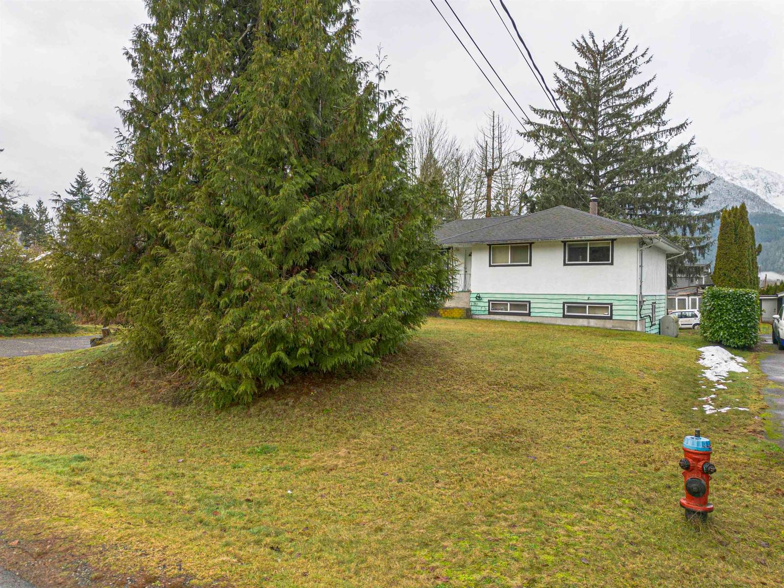 Listing Image 21