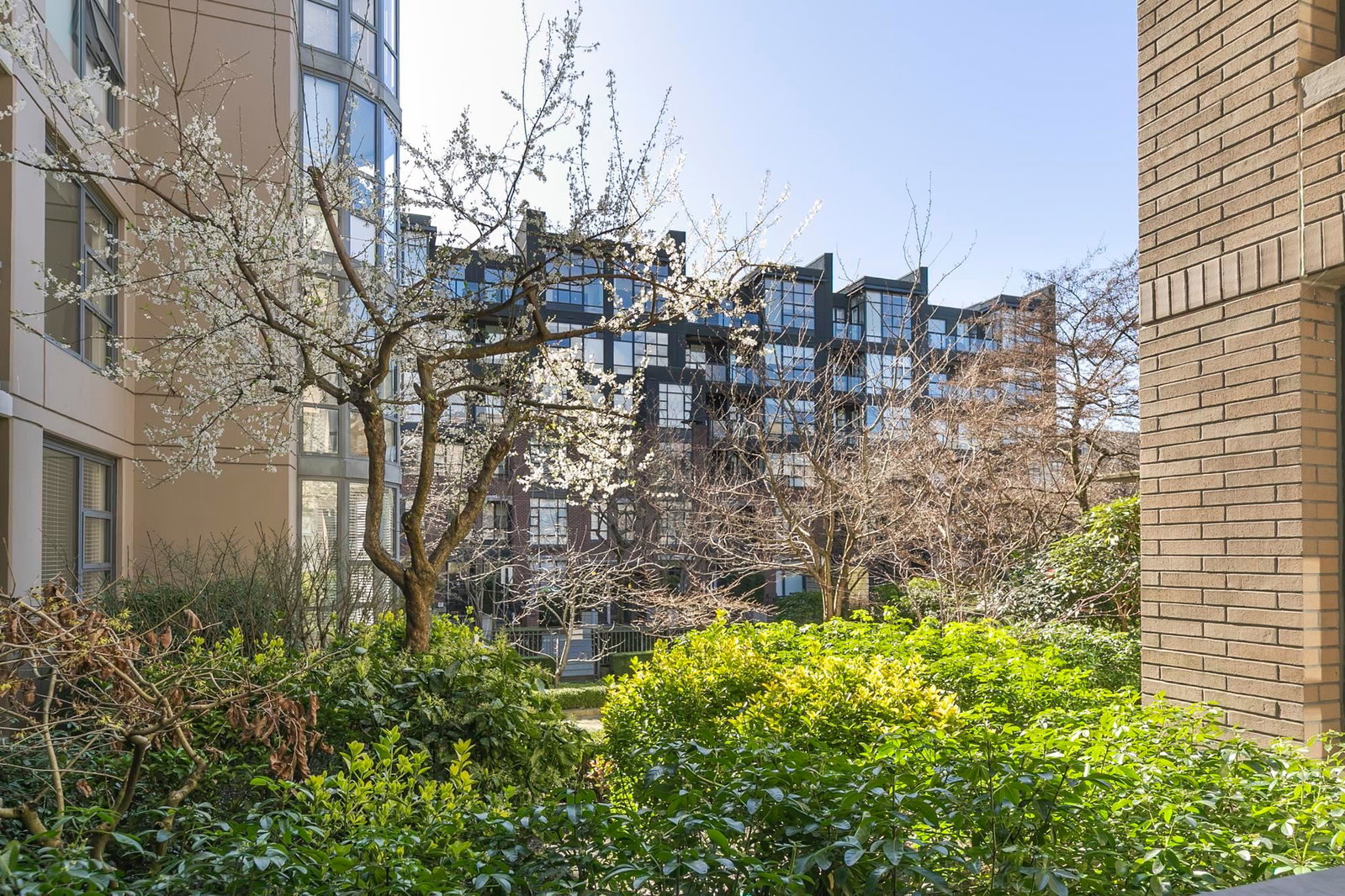 Listing Image 10
