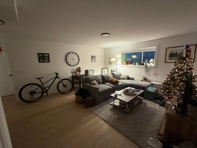 Basement - 213 Finnigan Street