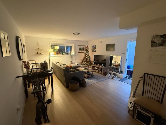 Basement - 213 Finnigan Street