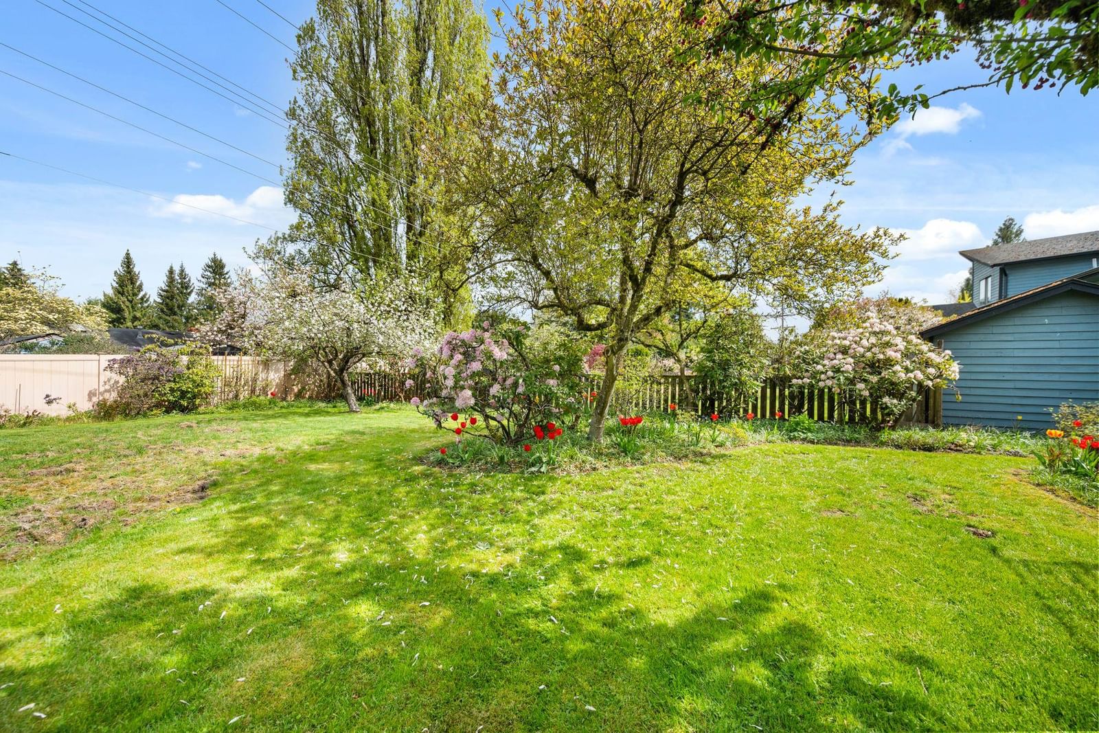 Listing Image 34