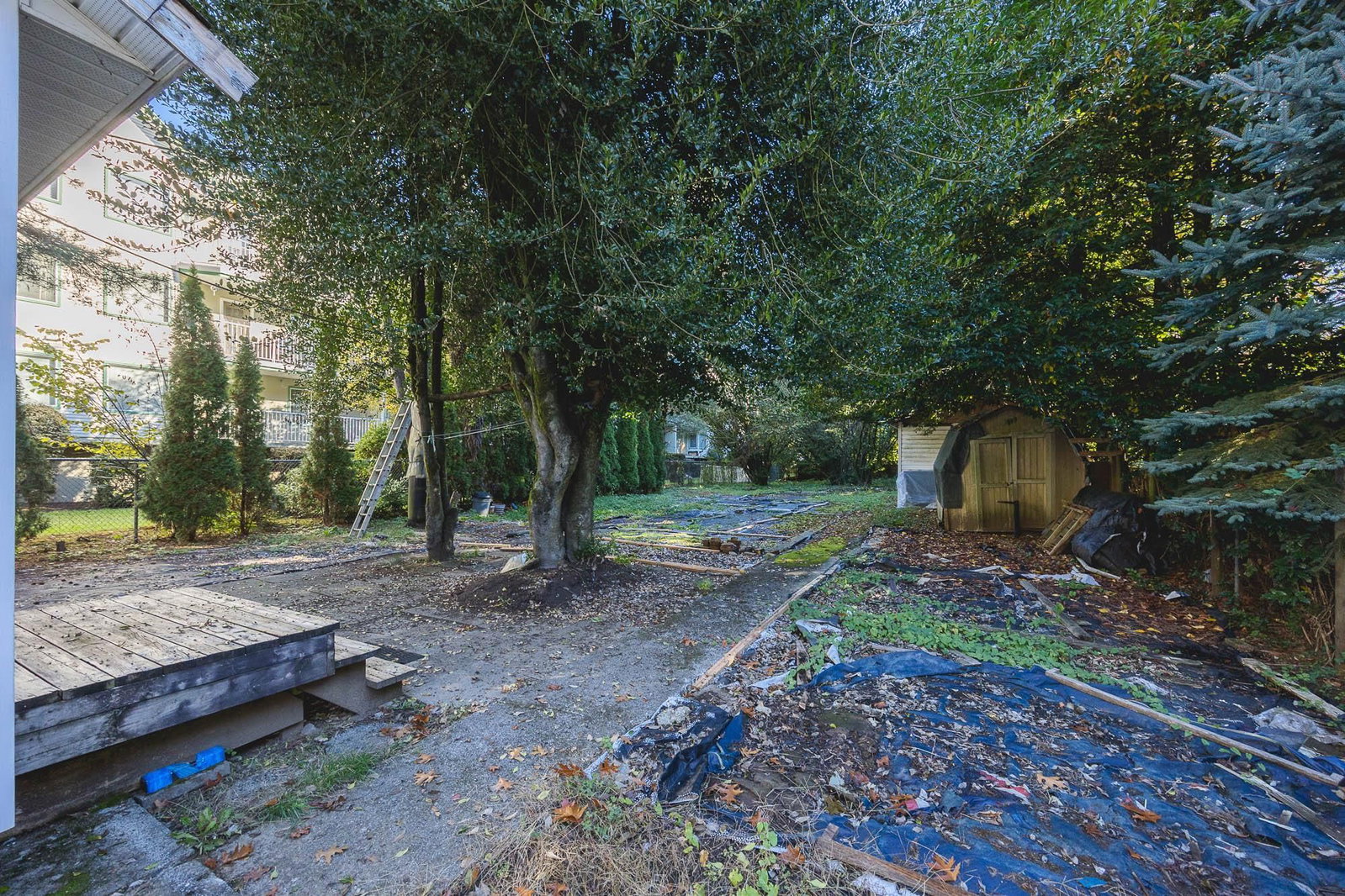 Listing Image 25