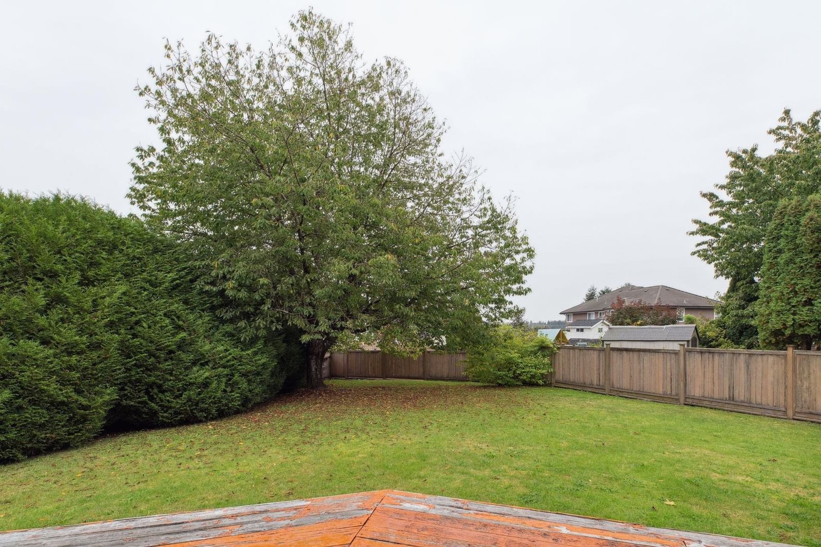 Listing Image 29