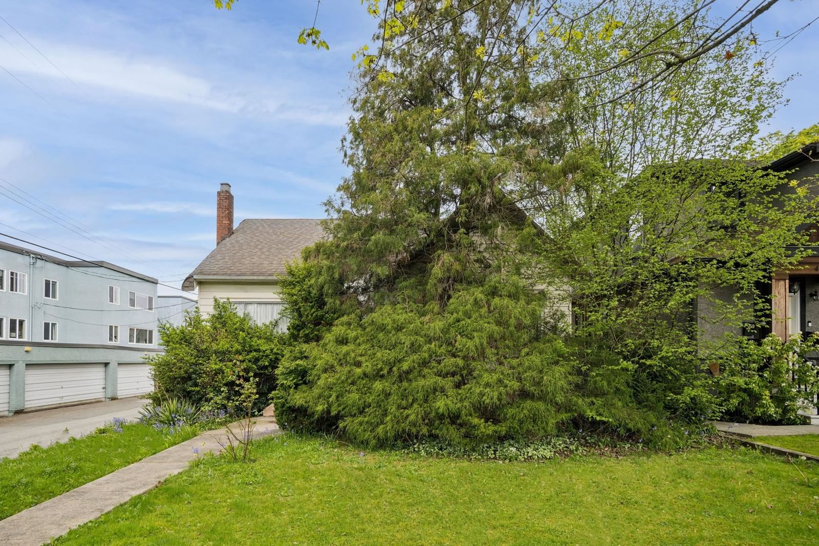 Listing Image 12