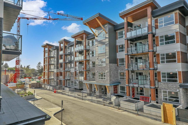 201 - 12109 223 Street