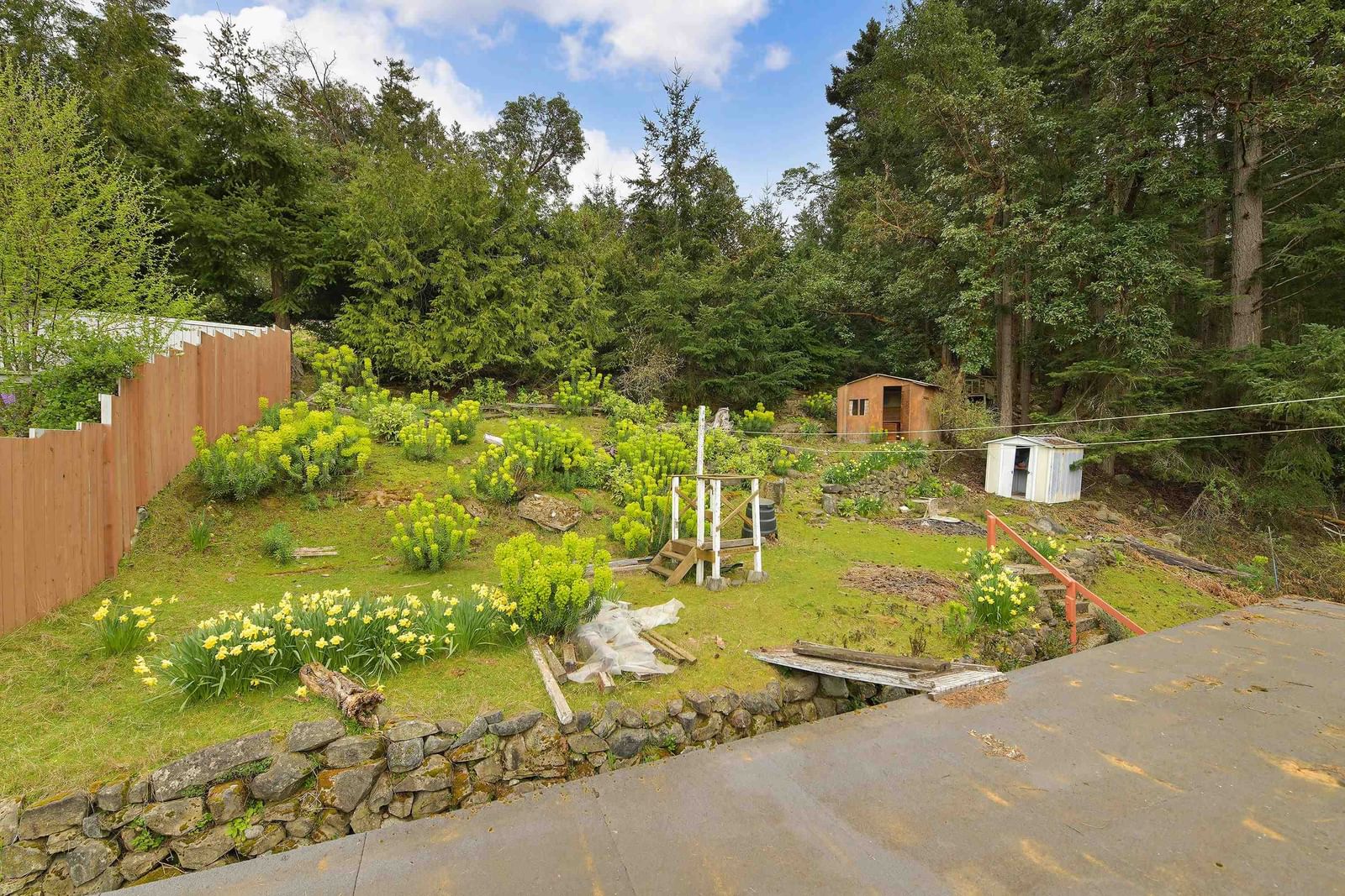 Listing Image 11