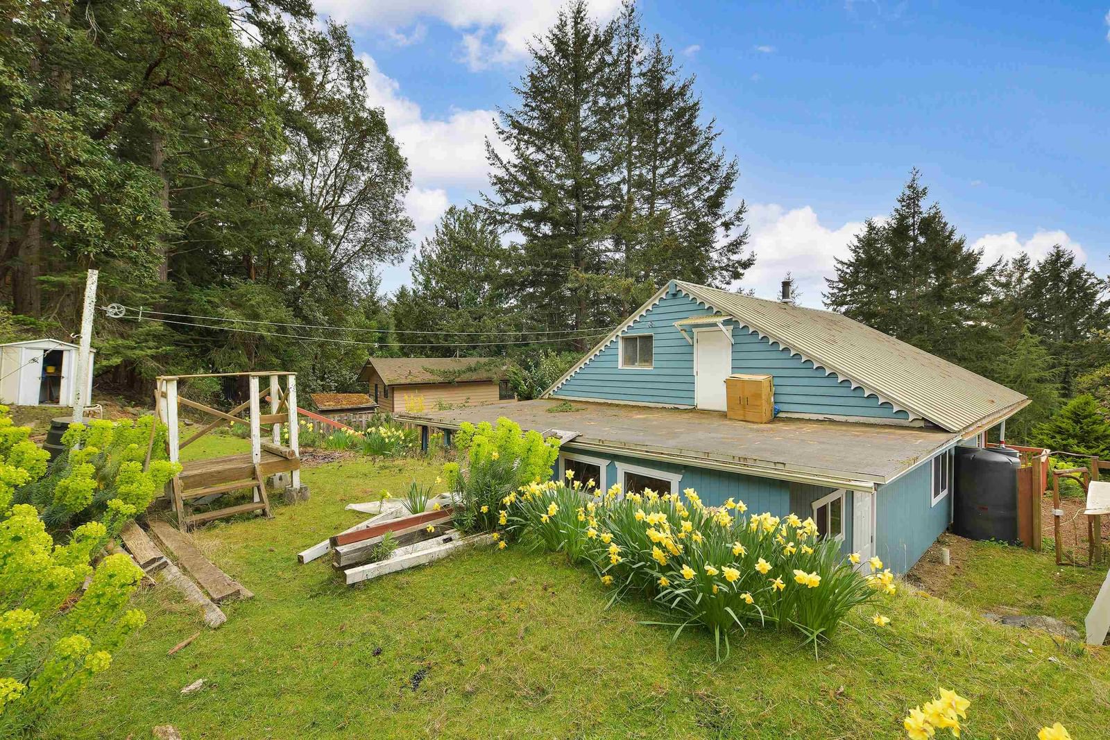 Listing Image 6