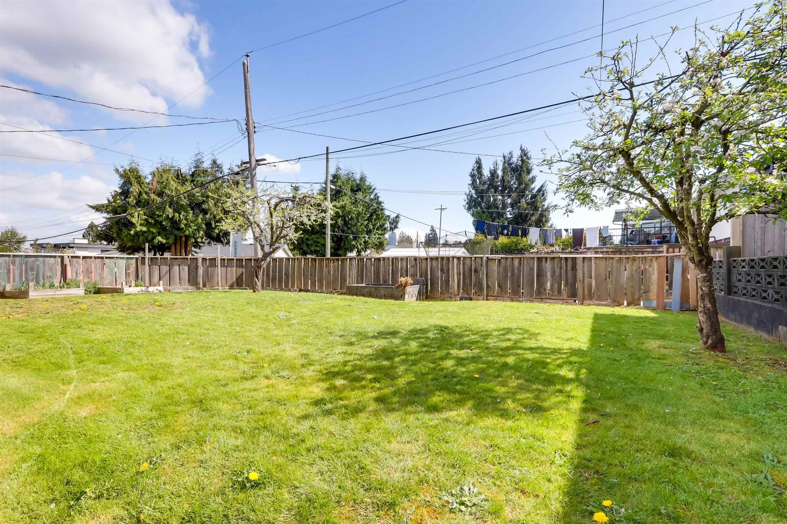 Listing Image 31