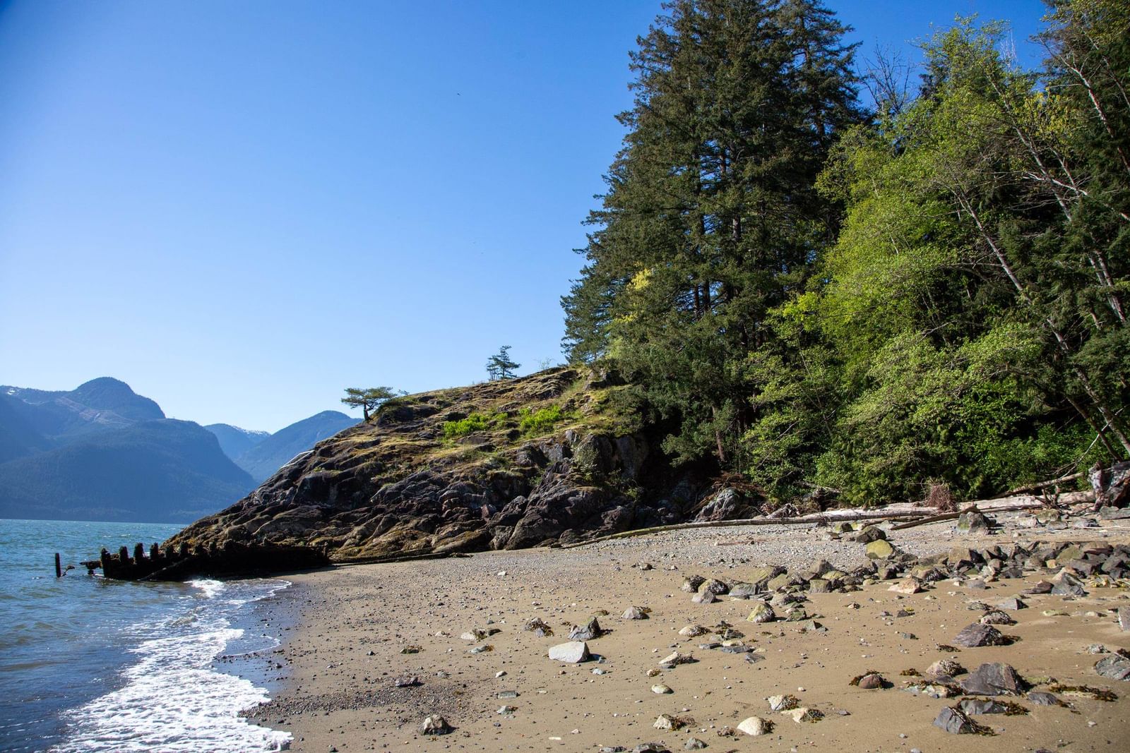 Listing Image 9
