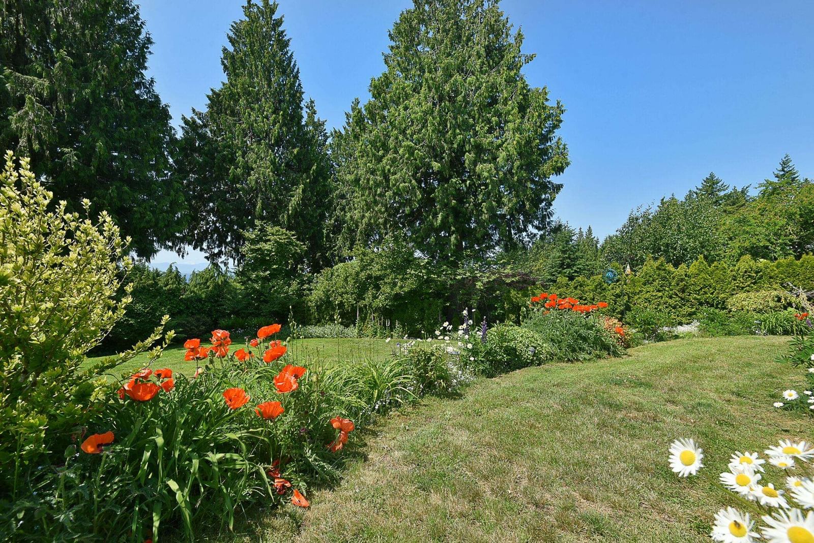 Listing Image 37