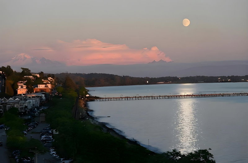 14501 Marine Drive, White Rock, British Columbia