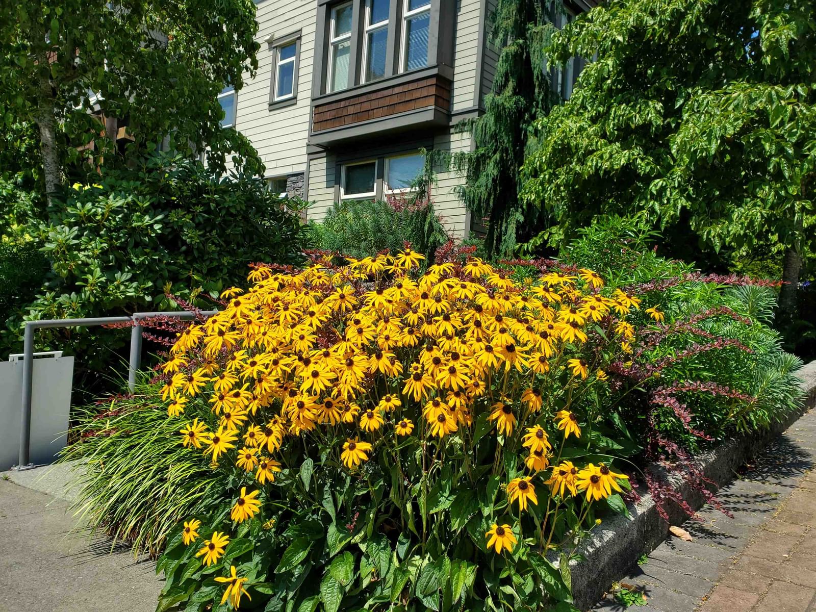 Listing Image 32