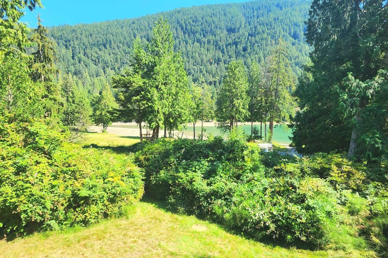 Listing Image 40
