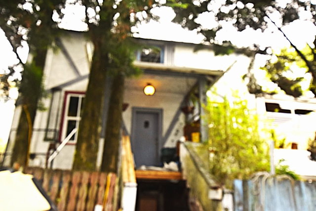 509 Holland Street