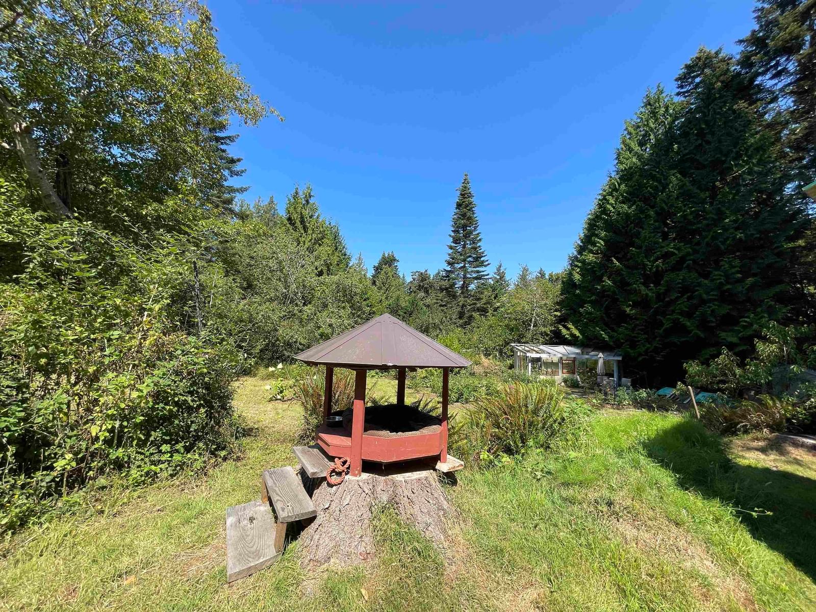 Listing Image 6