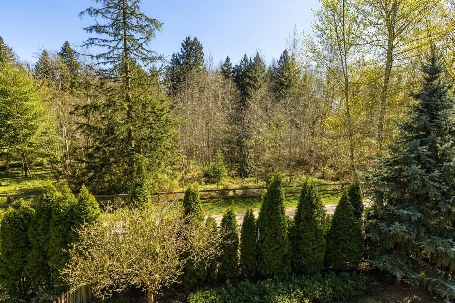 Listing Image 37