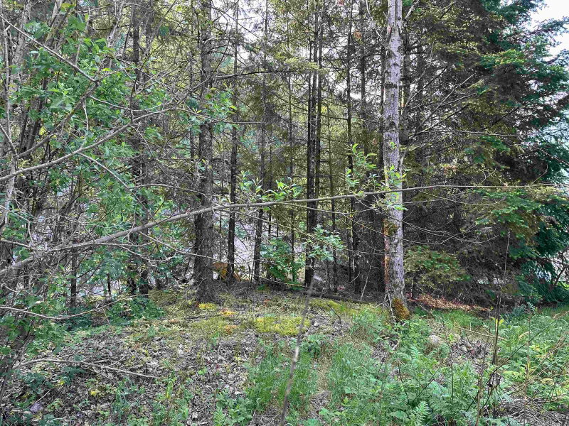 21647 Thacker Mtn Road