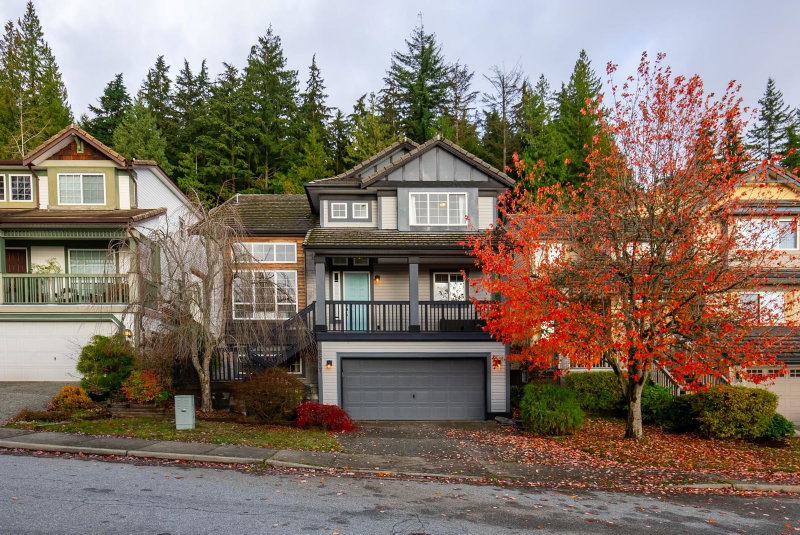 2517 Platinum Lane