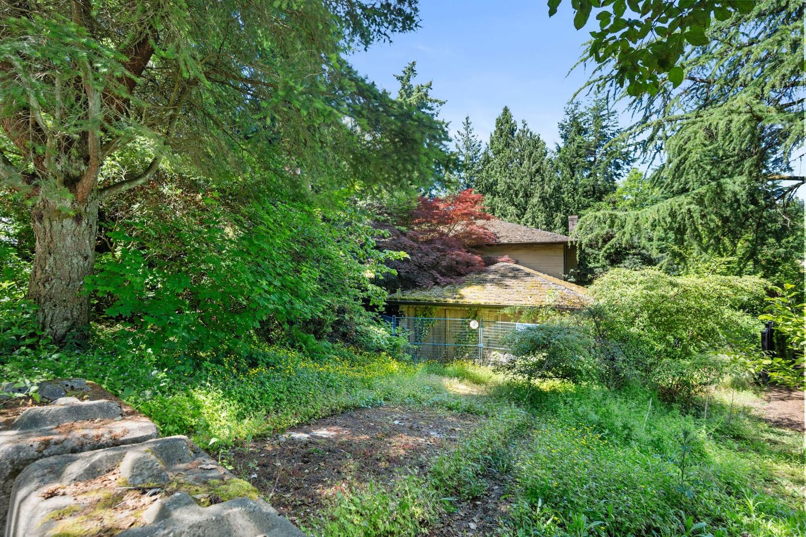 Listing Image 19