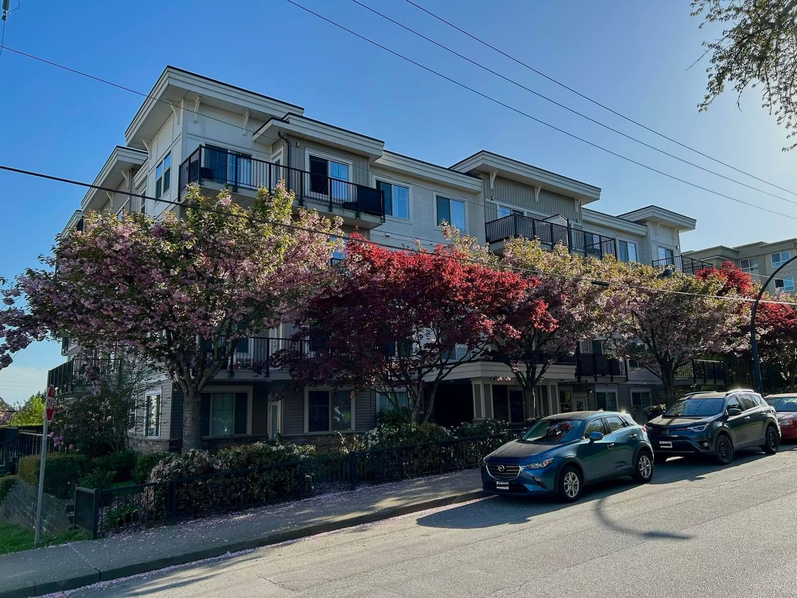 Listing Image 11