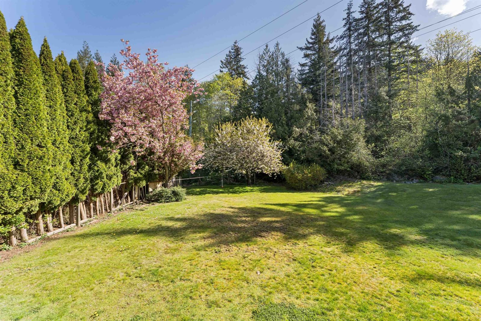 Listing Image 37