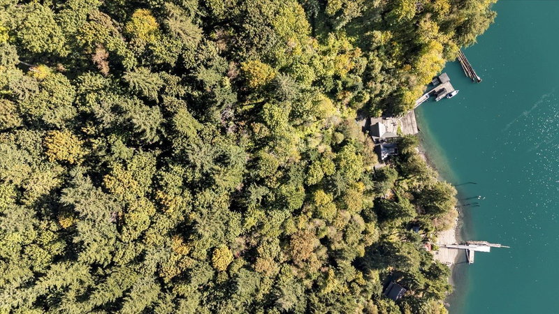 LOT 179 Yale Division Yale District Lake