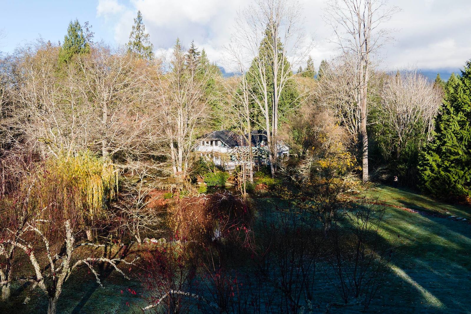 Listing Image 39