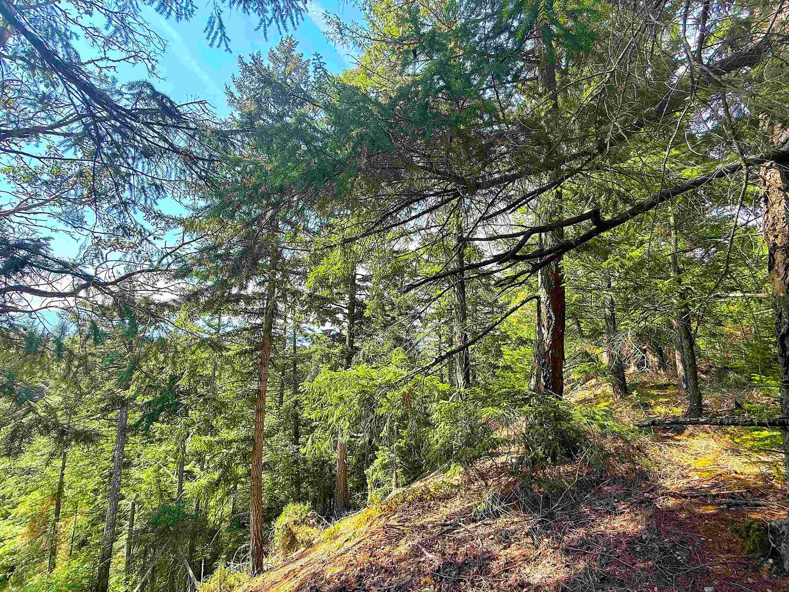Listing Image 8