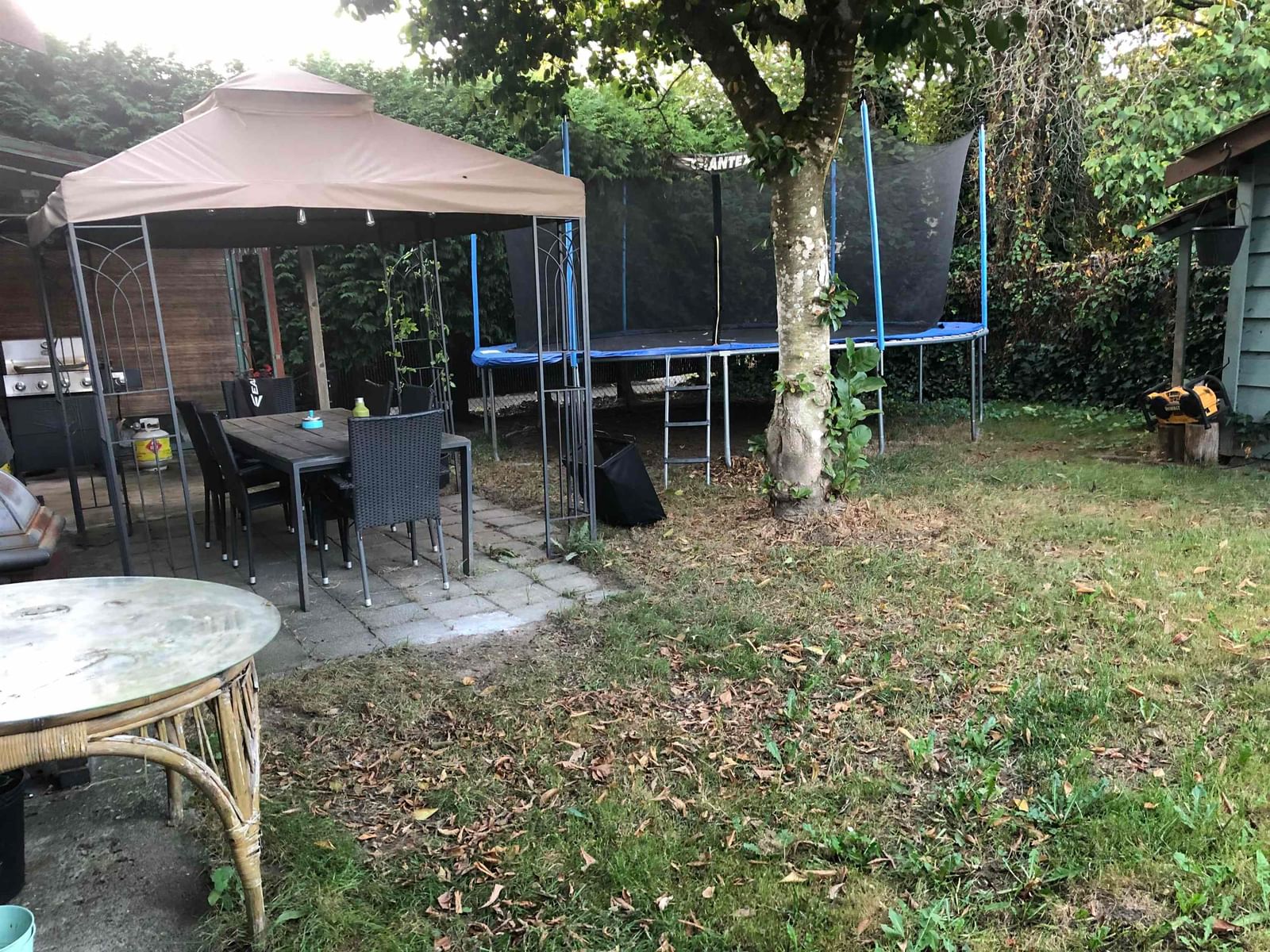Listing Image 15