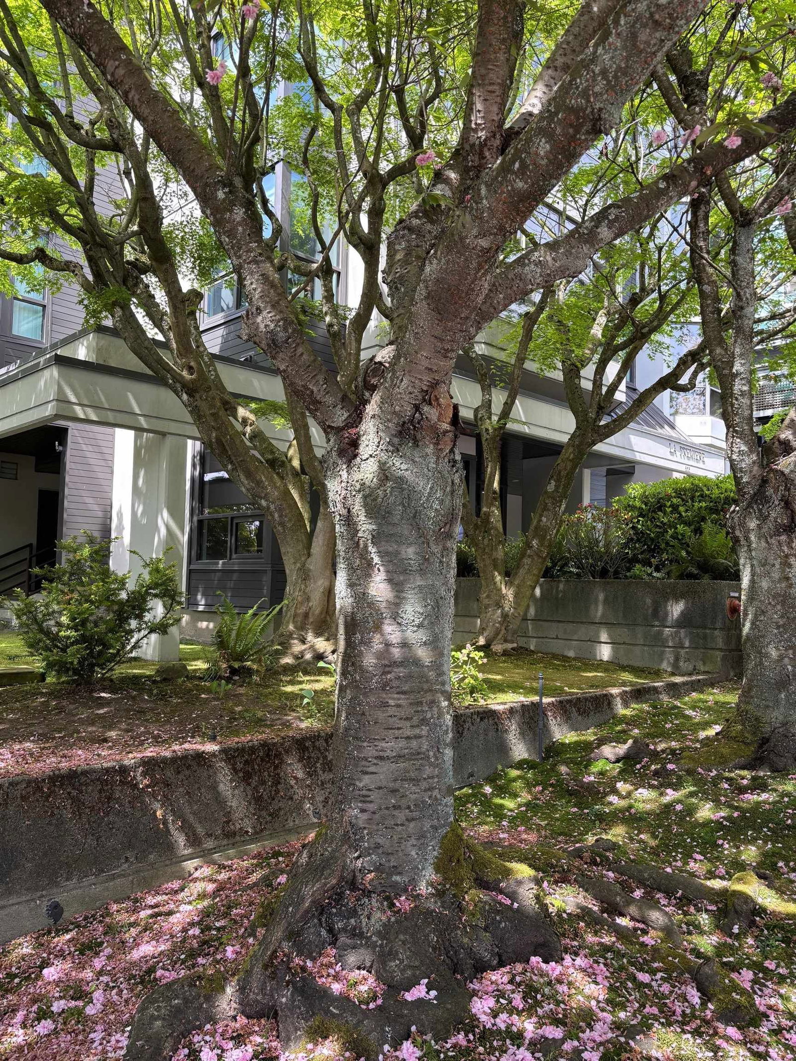 Listing Image 33