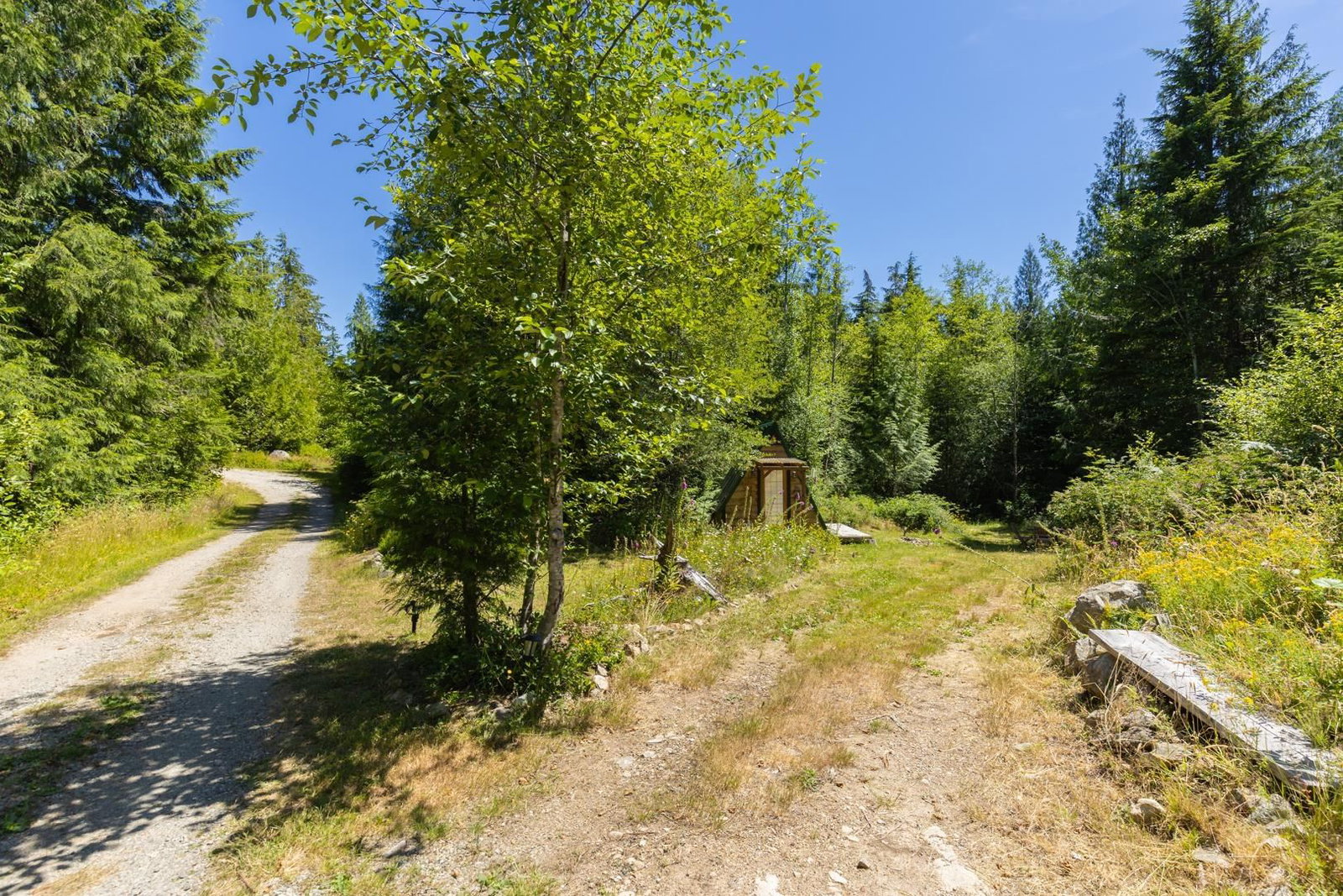 Listing Image 31