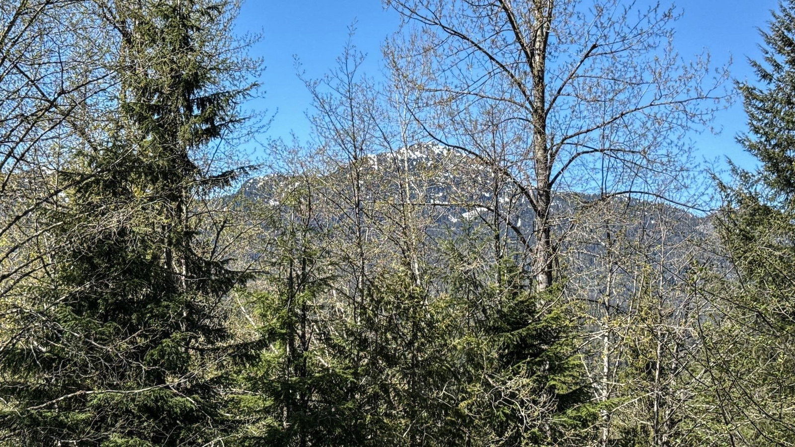 Listing Image 39