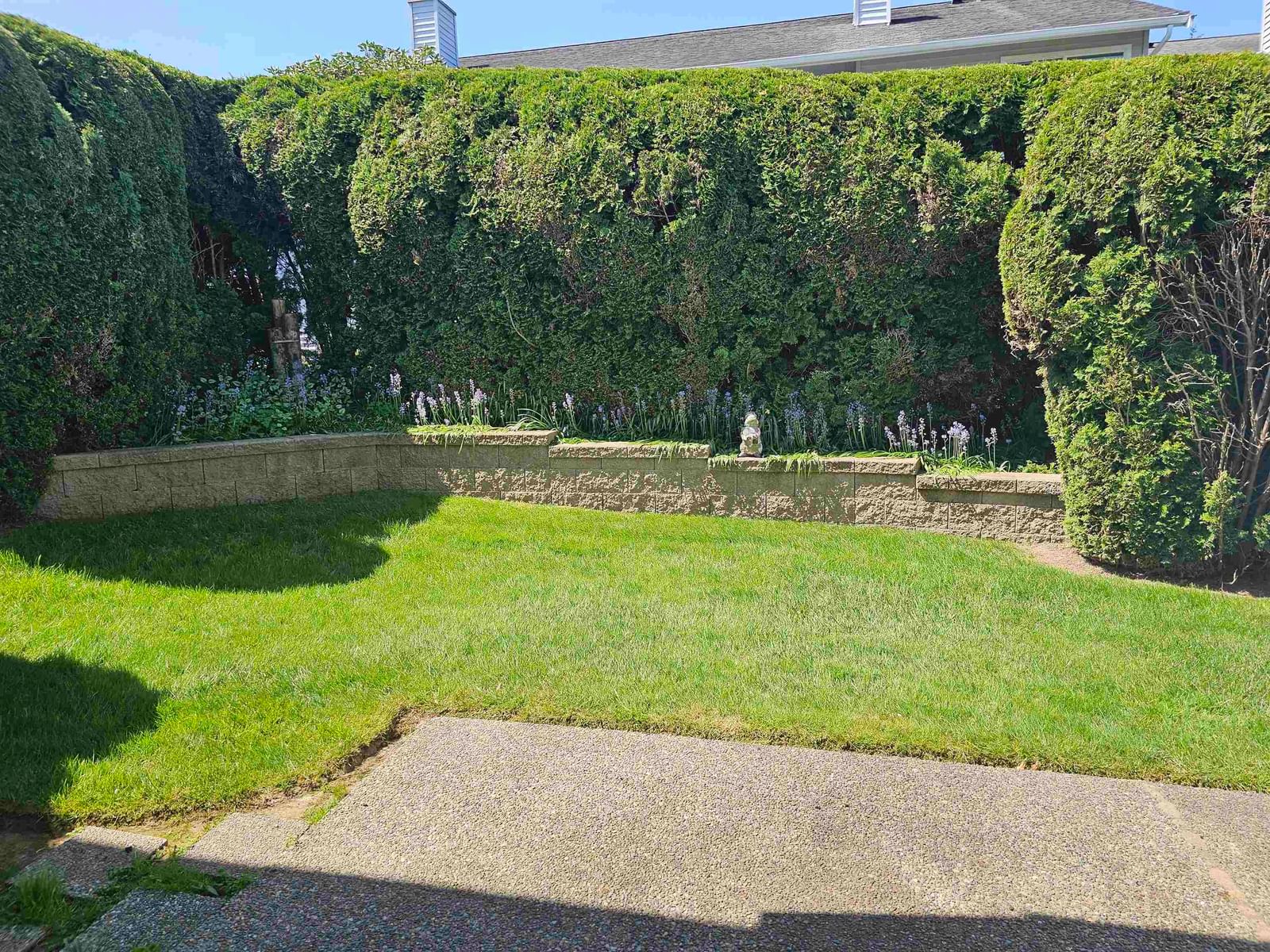 Listing Image 24