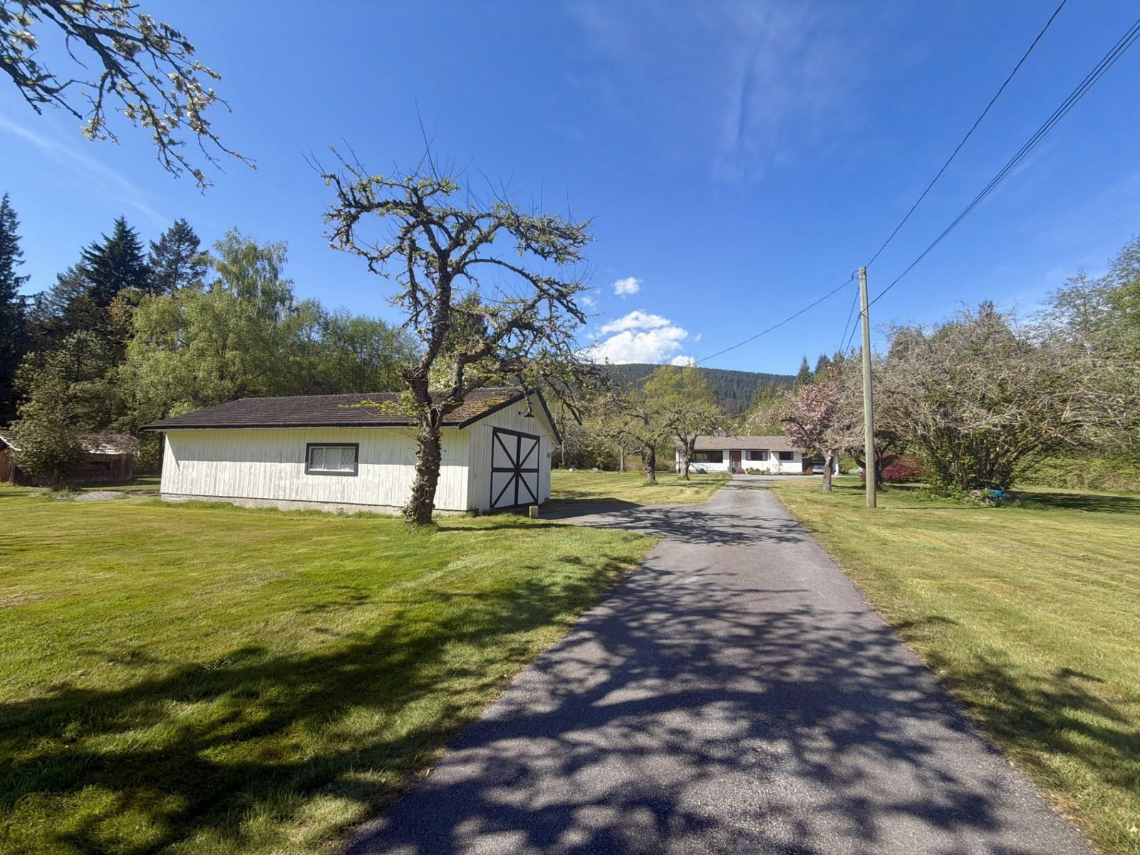 Listing Image 20
