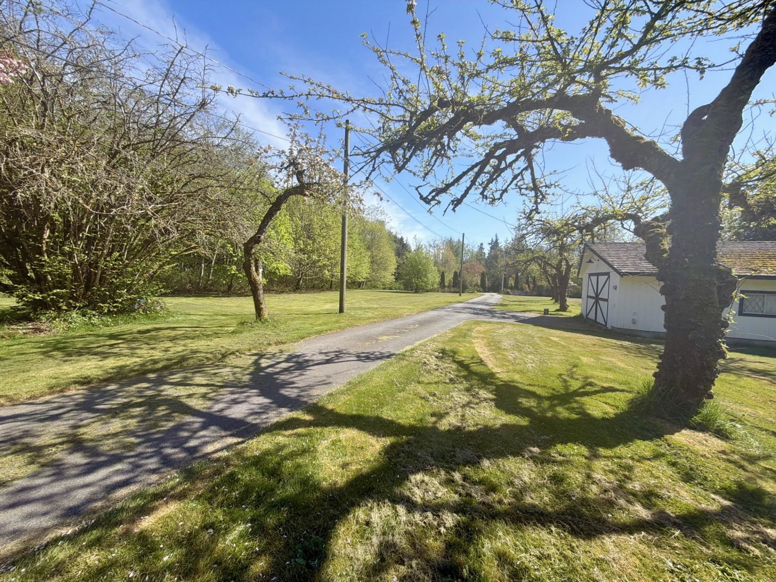 Listing Image 24