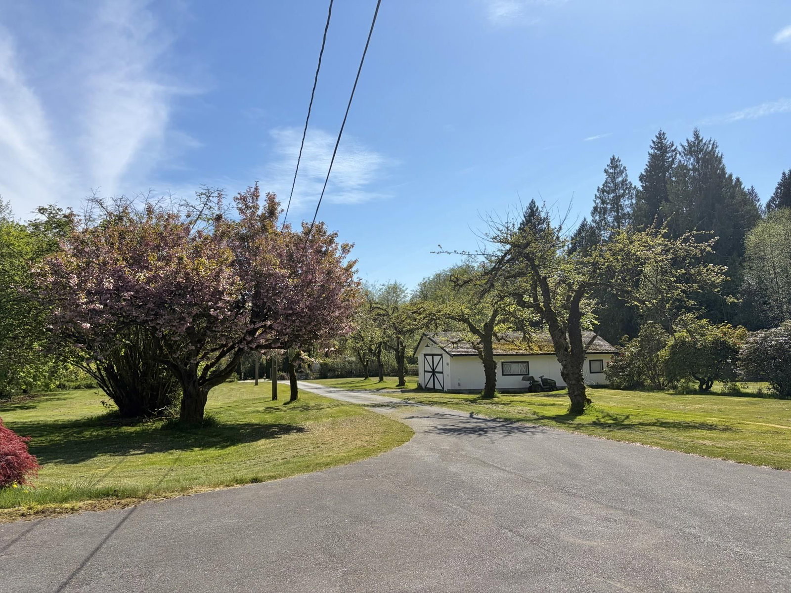 Listing Image 26