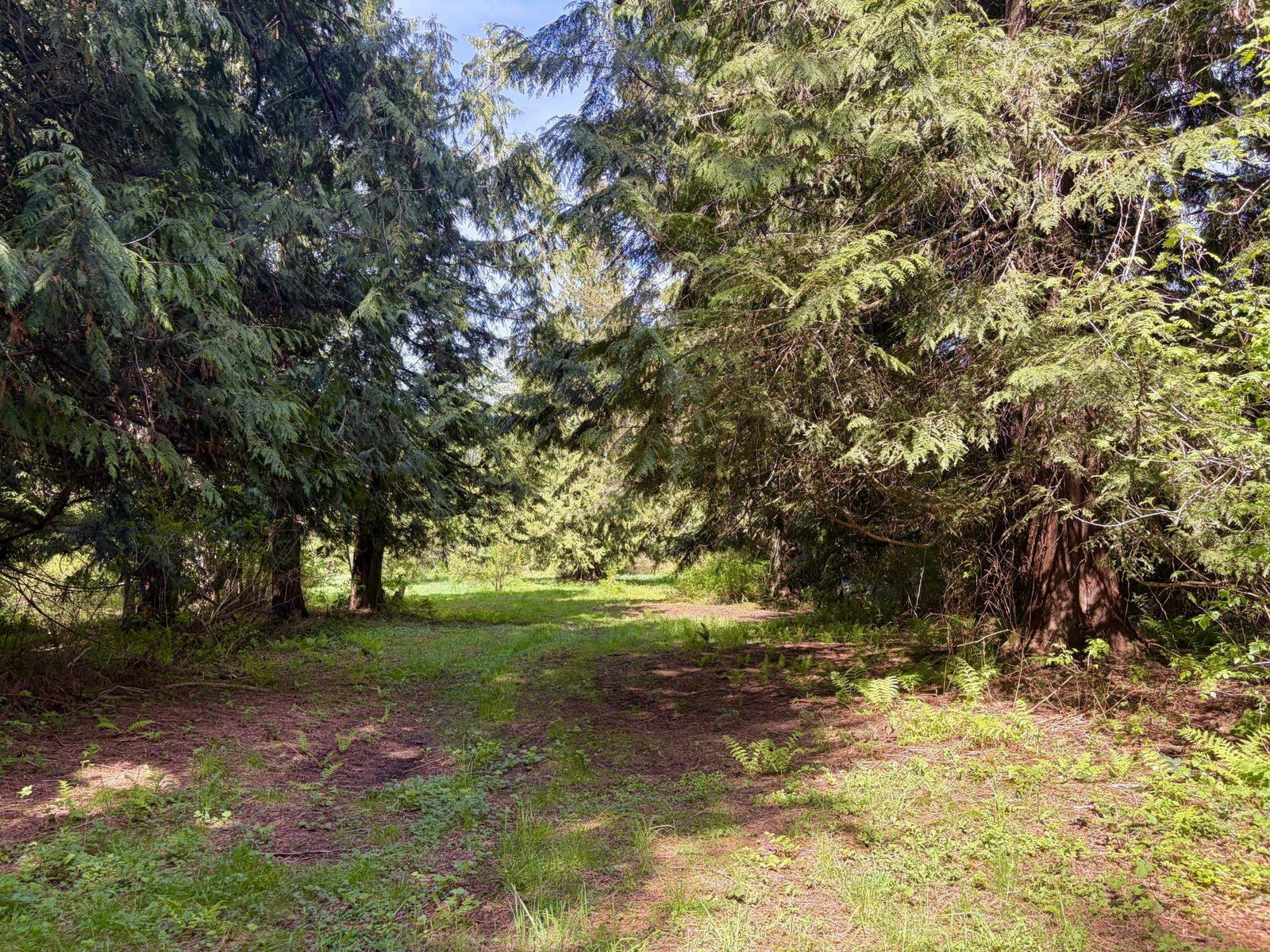 Listing Image 30