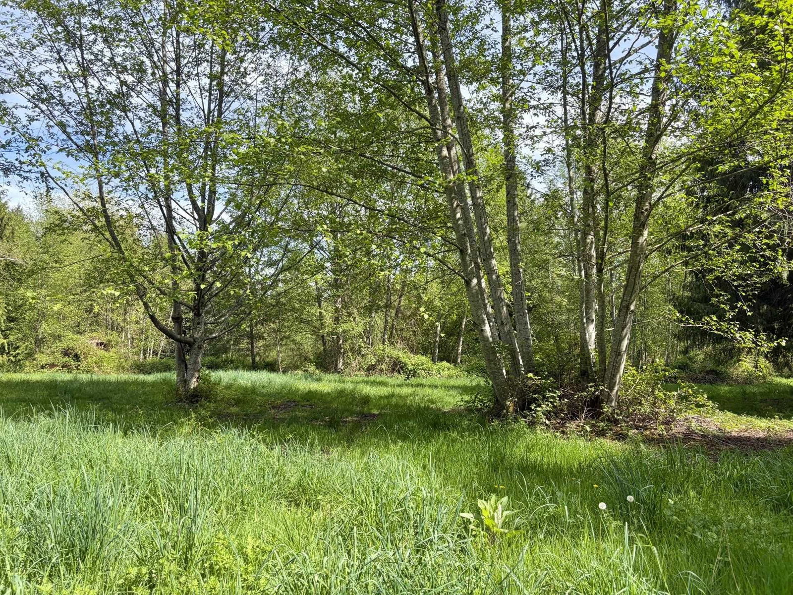 Listing Image 34