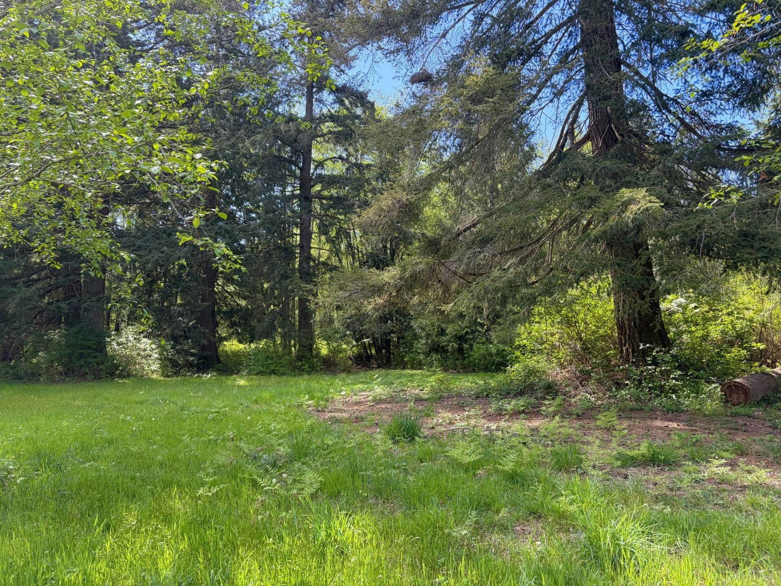Listing Image 36