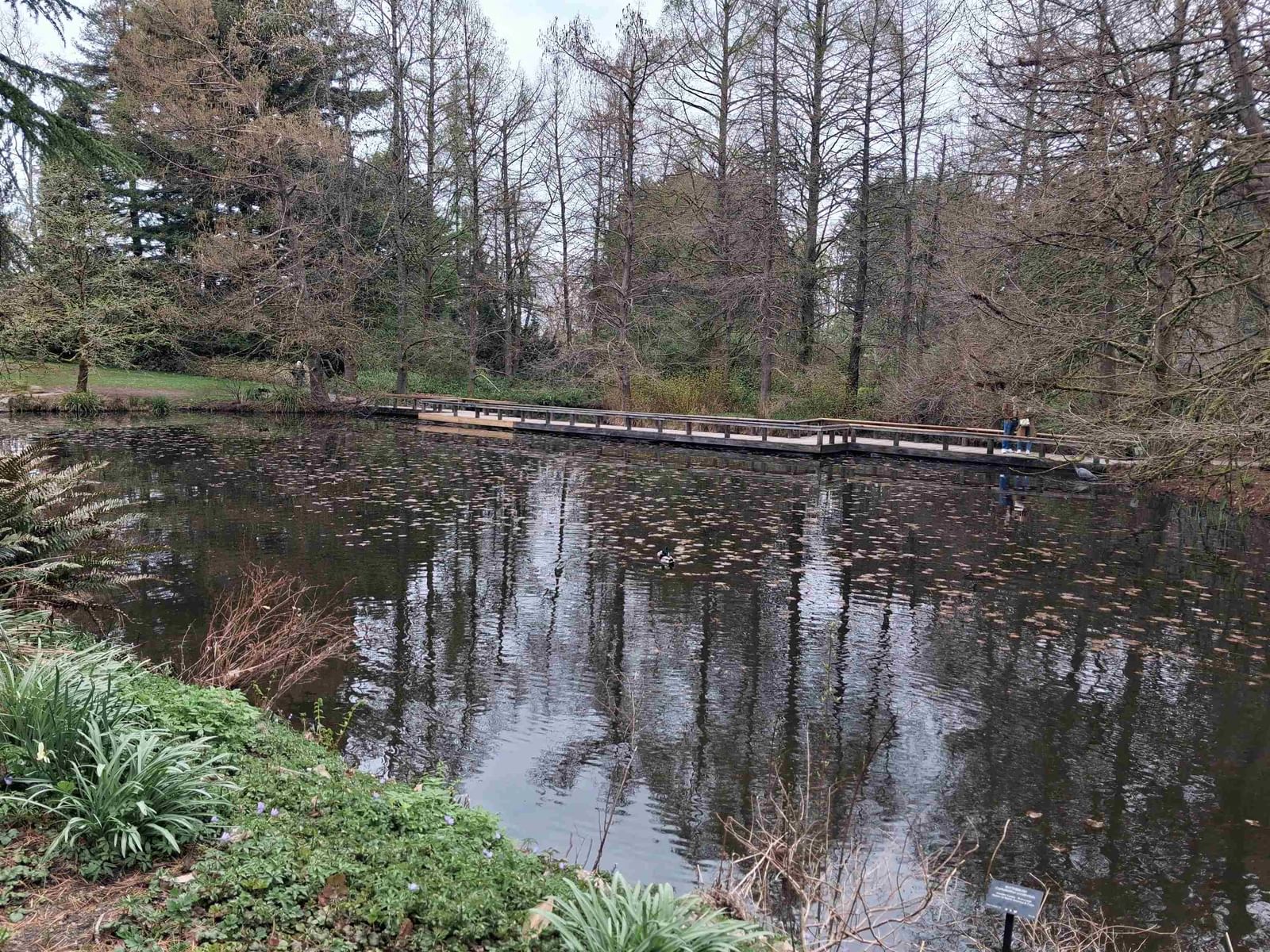 Listing Image 34