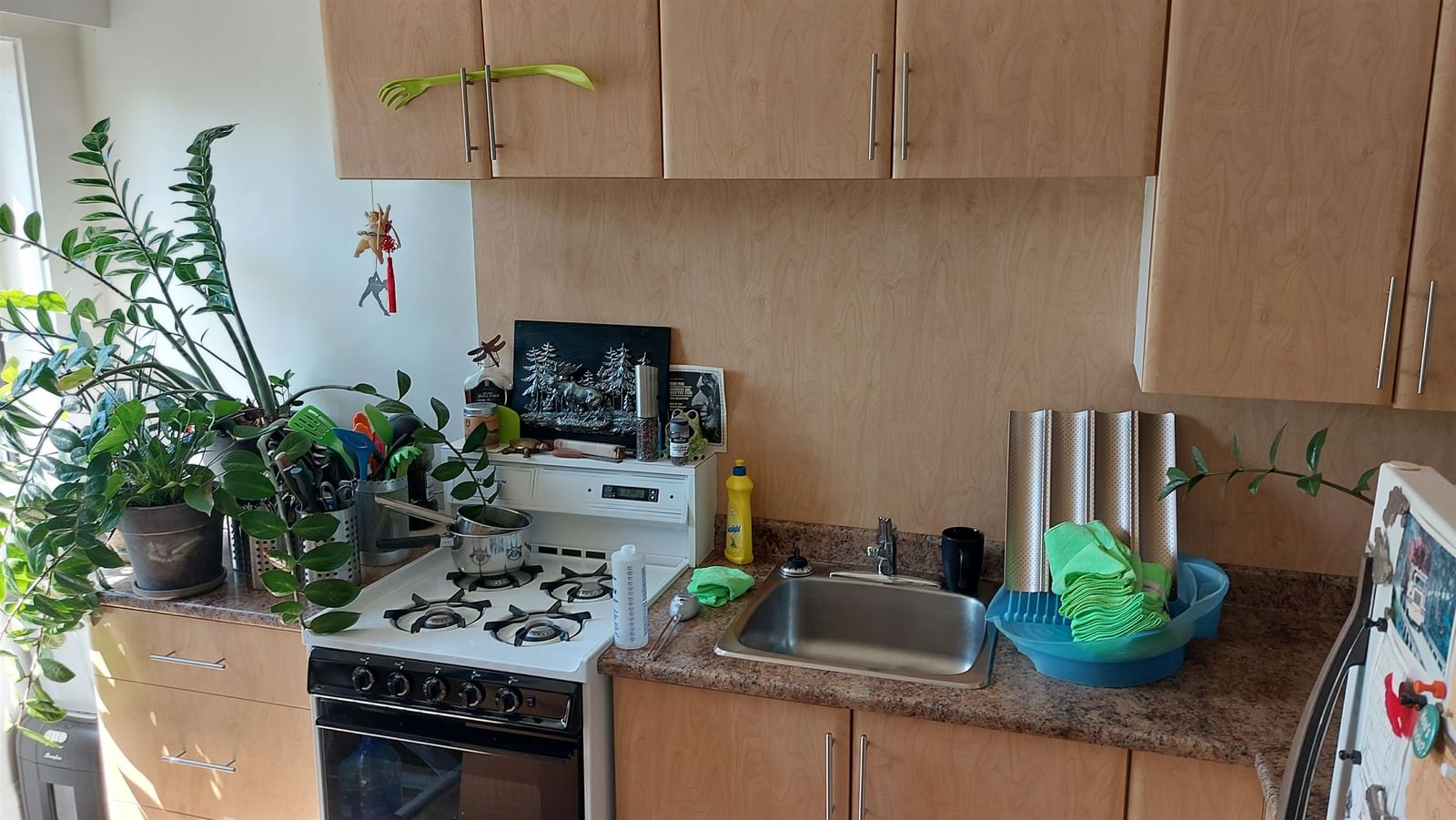 Listing Image 8